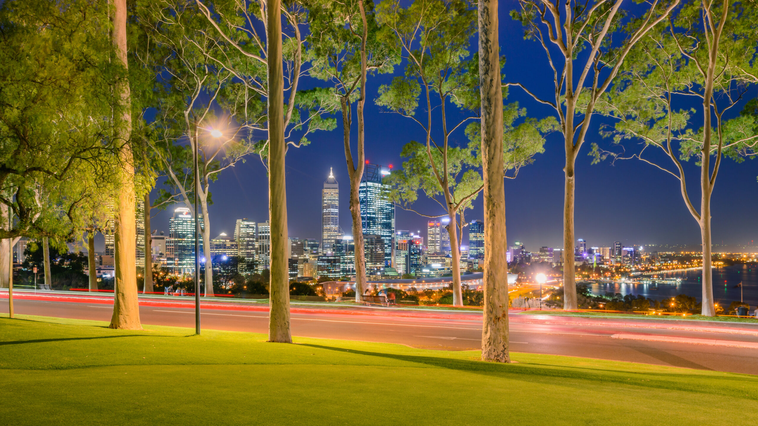 Kings Park flag