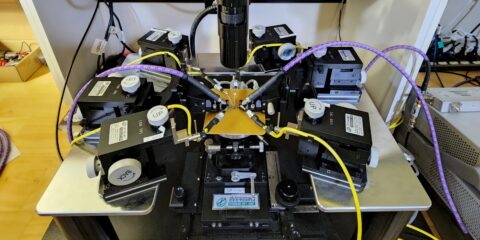 Probe station and GTEM cell