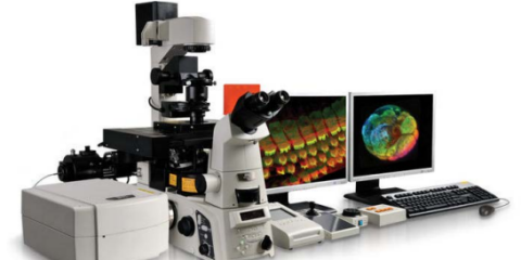 Nikon Confocal Microscope