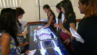 Students using anatomage table