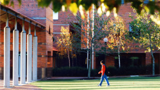 Image of Curtin University grounds