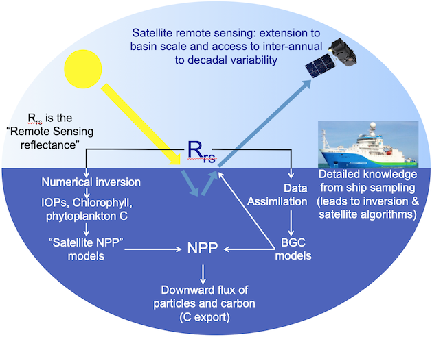 Conceptual schema rationale