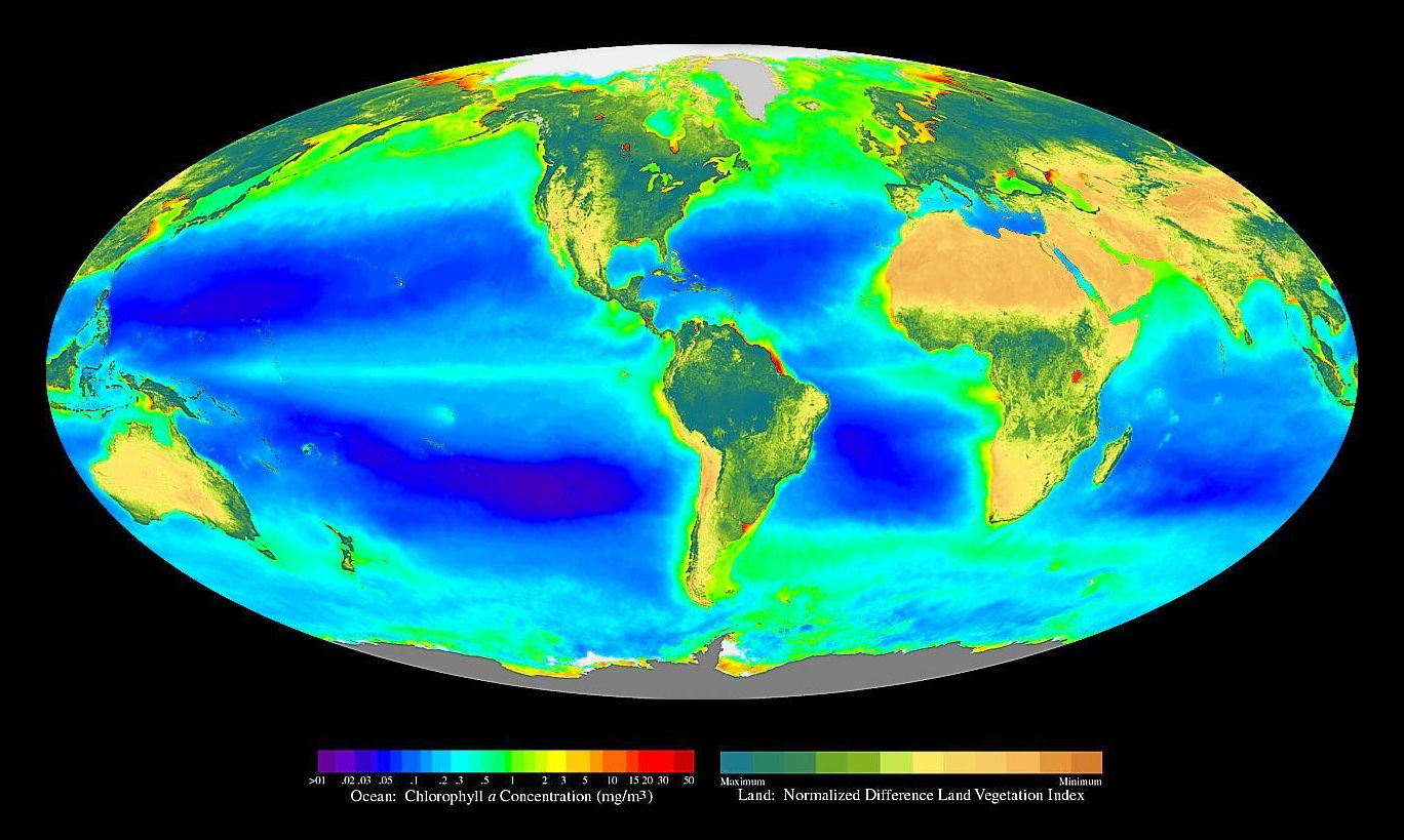 Global map of ocean and land net primary production; SeaWiFS Sensor