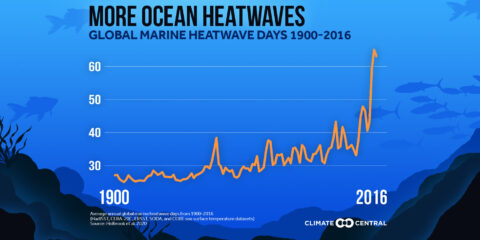 RSSRG was awarded funding as part of a project on Marine Heat Waves (MHW) funded by the WA state Government