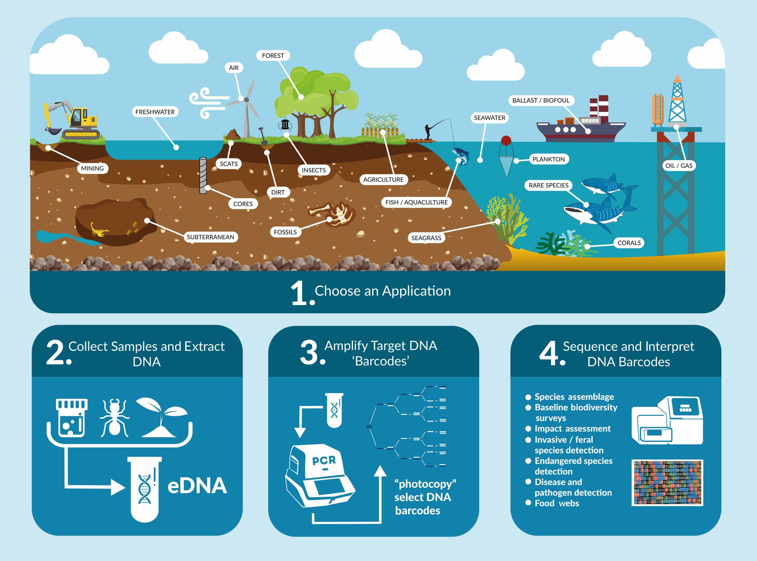 eDNA Frontiers workflow process map