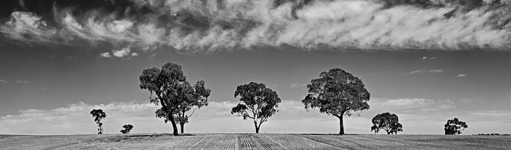 Soil and Landscape Science