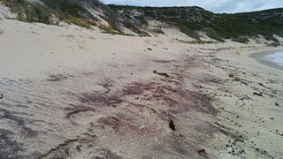 Mineral sands