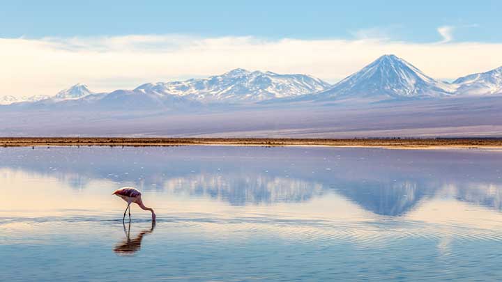 Salar de Tara