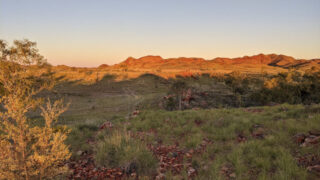 The Pilbara Craton